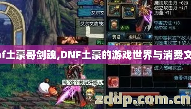 dnf土豪哥剑魂,DNF土豪的游戏世界与消费文化 dnf土豪哥剑魂,DNF土豪的游戏世界与消费文化