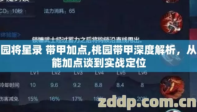 桃园将星录 带甲加点,桃园带甲深度解析，从技能加点谈到实战定位