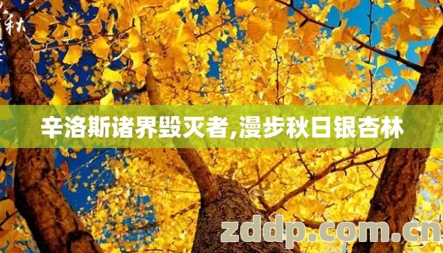 辛洛斯诸界毁灭者,漫步秋日银杏林