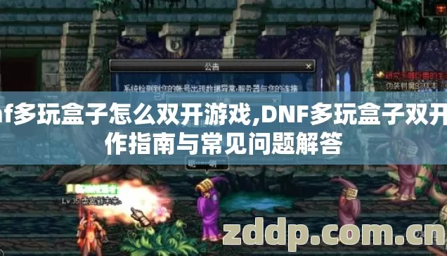 dnf多玩盒子怎么双开游戏,DNF多玩盒子双开操作指南与常见问题解答