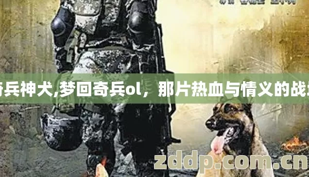 奇兵神犬,梦回奇兵ol,那片热血与情义的战场 奇兵神犬,梦回奇兵ol,那片热血与情义的战场
