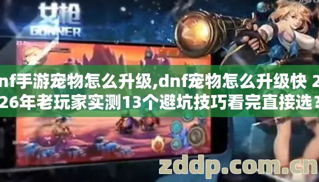 dnf手游宠物怎么升级,dnf宠物怎么升级快 2026年老玩家实测13个避坑技巧看完直接选? dnf手游宠物怎么升级,dnf宠物怎么升级快 2026年老玩家实测13个避坑技巧看完直接选?