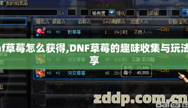 dnf草莓怎么获得,DNF草莓的趣味收集与玩法分享 dnf草莓怎么获得,DNF草莓的趣味收集与玩法分享
