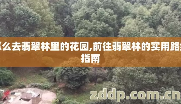 怎么去翡翠林里的花园,前往翡翠林的实用路线指南 怎么去翡翠林里的花园,前往翡翠林的实用路线指南