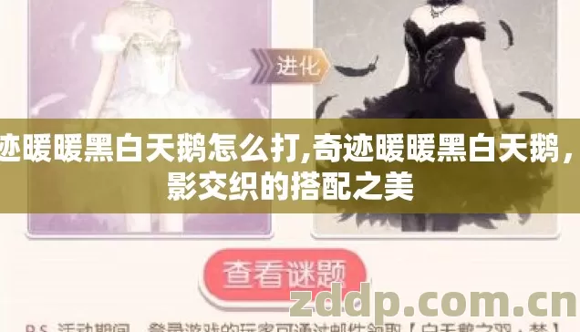 奇迹暖暖黑白天鹅怎么打,奇迹暖暖黑白天鹅，光影交织的搭配之美