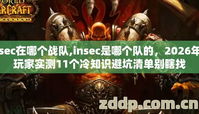 insec在哪个战队,insec是哪个队的，2026年老玩家实测11个冷知识避坑清单别瞎找
