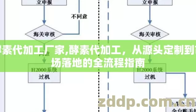 酵素代加工厂家,酵素代加工,从源头定制到市场落地的全流程指南 酵素代加工厂家,酵素代加工,从源头定制到市场落地的全流程指南