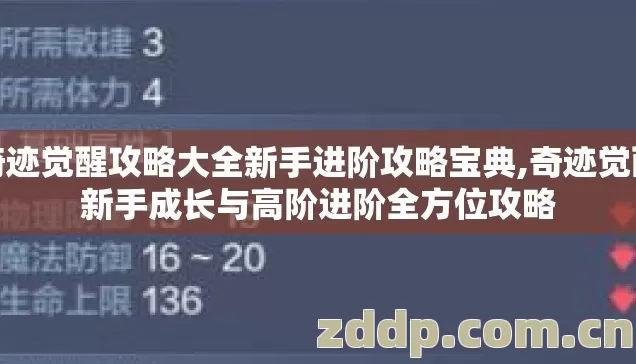 奇迹觉醒攻略大全新手进阶攻略宝典,奇迹觉醒新手成长与高阶进阶全方位攻略
