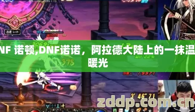 DNF 诺顿,DNF诺诺,阿拉德大陆上的一抹温柔暖光 DNF 诺顿,DNF诺诺,阿拉德大陆上的一抹温柔暖光