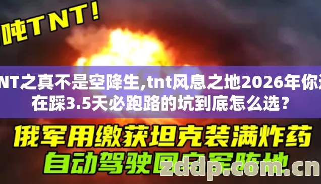 TNT之真不是空降生,tnt风息之地2026年你还在踩3.5天必跑路的坑到底怎么选？
