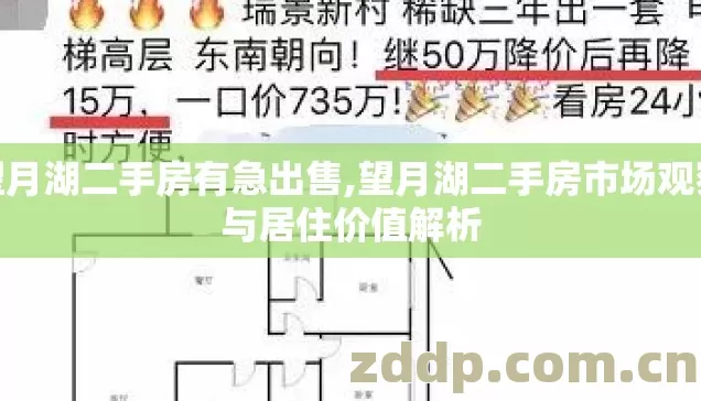 望月湖二手房有急出售,望月湖二手房市场观察与居住价值解析 望月湖二手房有急出售,望月湖二手房市场观察与居住价值解析