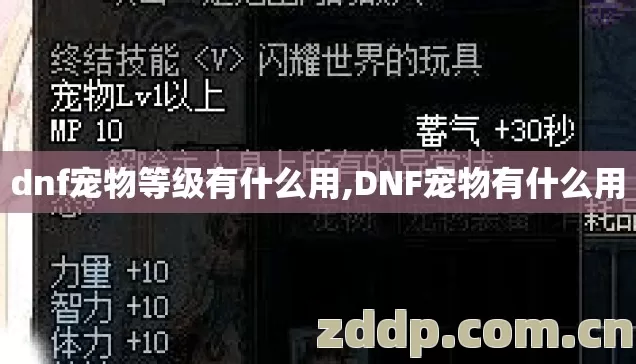 dnf宠物等级有什么用,DNF宠物有什么用 dnf宠物等级有什么用,DNF宠物有什么用