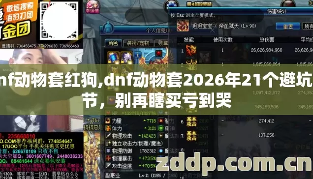dnf动物套红狗,dnf动物套2026年21个避坑细节,别再瞎买亏到哭 dnf动物套红狗,dnf动物套2026年21个避坑细节,别再瞎买亏到哭