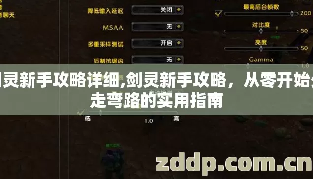 剑灵新手攻略详细,剑灵新手攻略，从零开始少走弯路的实用指南