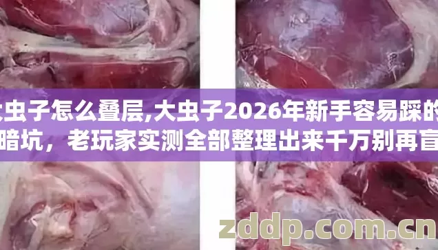 大虫子怎么叠层,大虫子2026年新手容易踩的7种暗坑,老玩家实测全部整理出来千万别再盲踩坑 大虫子怎么叠层,大虫子2026年新手容易踩的7种暗坑,老玩家实测全部整理出来千万别再盲踩坑