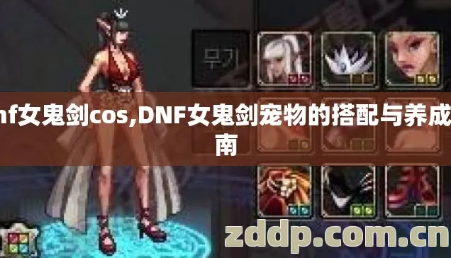 dnf女鬼剑cos,DNF女鬼剑宠物的搭配与养成指南