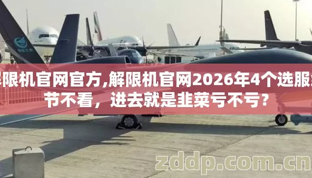 解限机官网官方,解限机官网2026年4个选服细节不看，进去就是韭菜亏不亏？