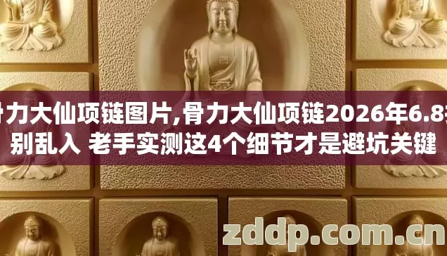 骨力大仙项链图片,骨力大仙项链2026年6.8折别乱入 老手实测这4个细节才是避坑关键