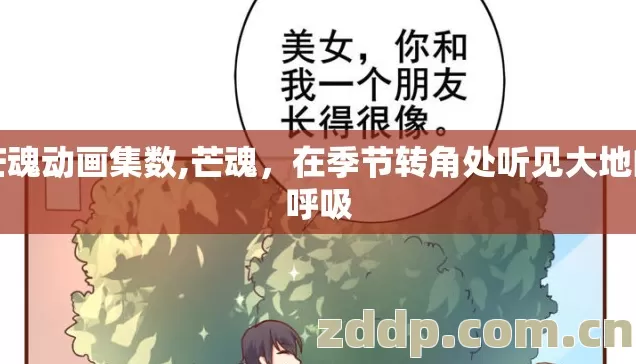 芒魂动画集数,芒魂，在季节转角处听见大地的呼吸