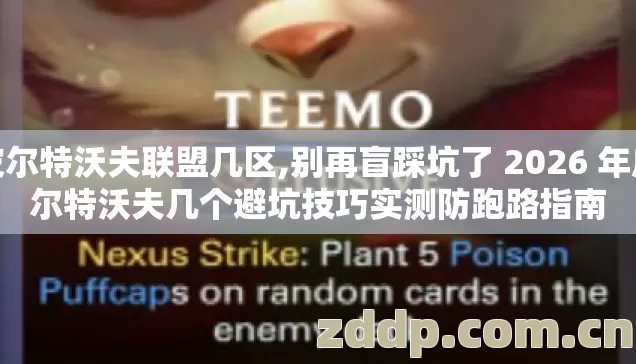 皮尔特沃夫联盟几区,别再盲踩坑了 2026 年皮尔特沃夫几个避坑技巧实测防跑路指南