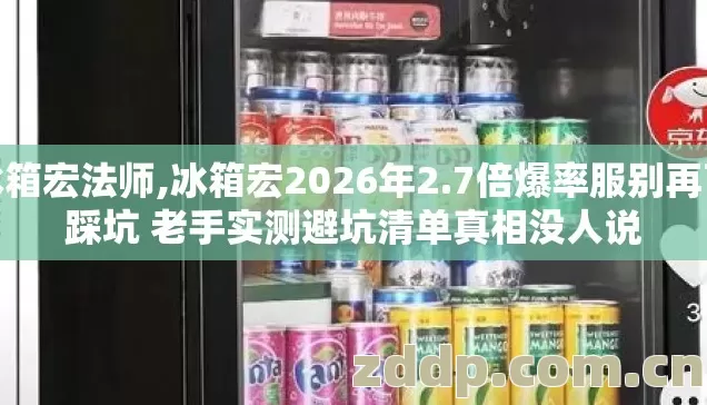 冰箱宏法师,冰箱宏2026年2.7倍爆率服别再盲踩坑 老手实测避坑清单真相没人说