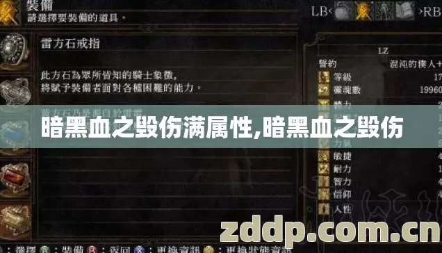 暗黑血之毁伤满属性,暗黑血之毁伤