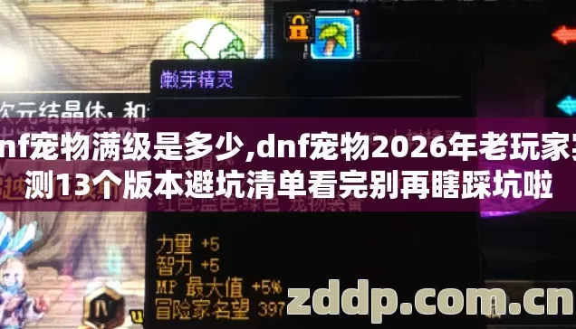 dnf宠物满级是多少,dnf宠物2026年老玩家实测13个版本避坑清单看完别再瞎踩坑啦 dnf宠物满级是多少,dnf宠物2026年老玩家实测13个版本避坑清单看完别再瞎踩坑啦