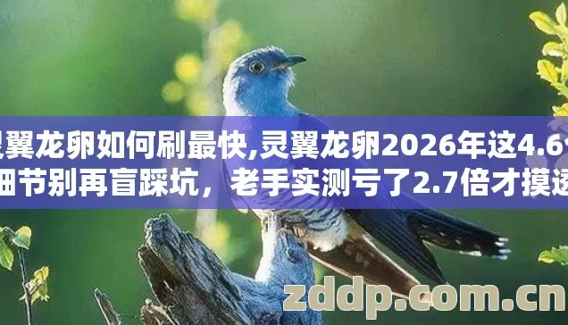 灵翼龙卵如何刷最快,灵翼龙卵2026年这4.6个细节别再盲踩坑,老手实测亏了2.7倍才摸透 灵翼龙卵如何刷最快,灵翼龙卵2026年这4.6个细节别再盲踩坑,老手实测亏了2.7倍才摸透