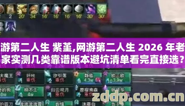 网游第二人生 紫堇,网游第二人生 2026 年老玩家实测几类靠谱版本避坑清单看完直接选? 网游第二人生 紫堇,网游第二人生 2026 年老玩家实测几类靠谱版本避坑清单看完直接选?