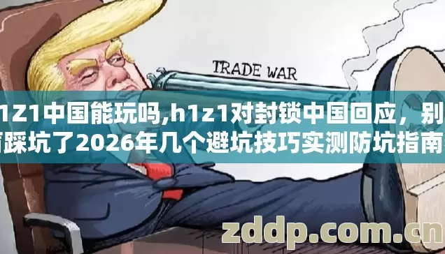 H1Z1中国能玩吗,h1z1对封锁中国回应,别再盲踩坑了2026年几个避坑技巧实测防坑指南看完不吃亏 H1Z1中国能玩吗,h1z1对封锁中国回应,别再盲踩坑了2026年几个避坑技巧实测防坑指南看完不吃亏
