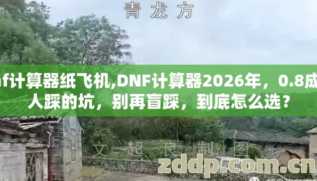 dnf计算器纸飞机,DNF计算器2026年，0.8成散人踩的坑，别再盲踩，到底怎么选？