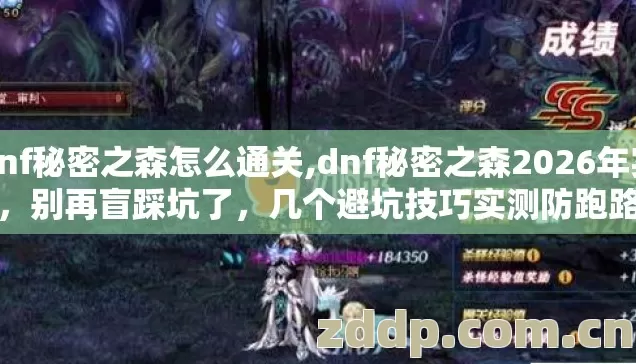 dnf秘密之森怎么通关,dnf秘密之森2026年实测,别再盲踩坑了,几个避坑技巧实测防跑路指南? dnf秘密之森怎么通关,dnf秘密之森2026年实测,别再盲踩坑了,几个避坑技巧实测防跑路指南?
