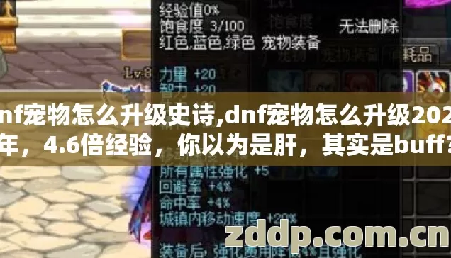 dnf宠物怎么升级史诗,dnf宠物怎么升级2026年，4.6倍经验，你以为是肝，其实是buff？