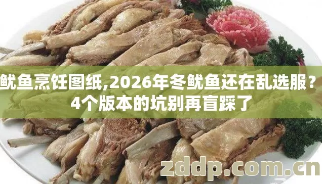 冬鱿鱼烹饪图纸,2026年冬鱿鱼还在乱选服？第4个版本的坑别再盲踩了