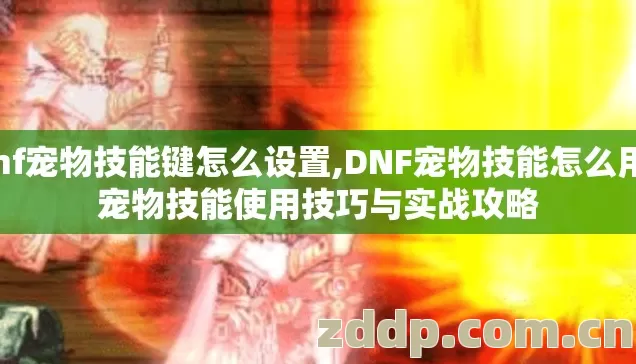 dnf宠物技能键怎么设置,DNF宠物技能怎么用？宠物技能使用技巧与实战攻略