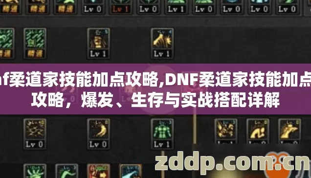 dnf柔道家技能加点攻略,DNF柔道家技能加点全攻略,爆发、生存与实战搭配详解 dnf柔道家技能加点攻略,DNF柔道家技能加点全攻略,爆发、生存与实战搭配详解