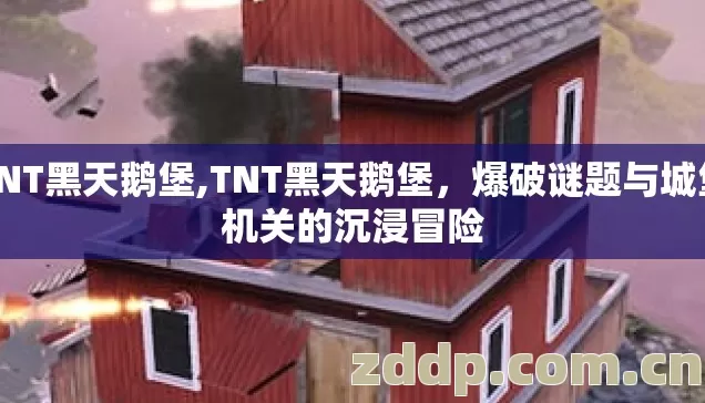 TNT黑天鹅堡,TNT黑天鹅堡，爆破谜题与城堡机关的沉浸冒险