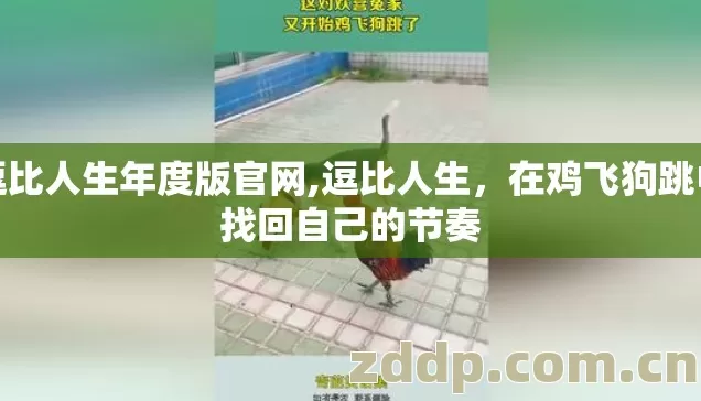逗比人生年度版官网,逗比人生,在鸡飞狗跳中找回自己的节奏 逗比人生年度版官网,逗比人生,在鸡飞狗跳中找回自己的节奏