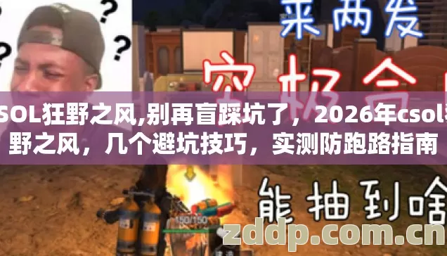 CSOL狂野之风,别再盲踩坑了,2026年csol狂野之风,几个避坑技巧,实测防跑路指南 CSOL狂野之风,别再盲踩坑了,2026年csol狂野之风,几个避坑技巧,实测防跑路指南