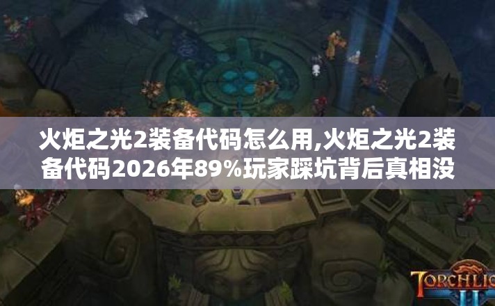 火炬之光2装备代码怎么用,火炬之光2装备代码2026年89%玩家踩坑背后真相没人告诉你? 火炬之光2装备代码怎么用,火炬之光2装备代码2026年89%玩家踩坑背后真相没人告诉你?
