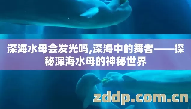 深海水母会发光吗,深海中的舞者——探秘深海水母的神秘世界 深海水母会发光吗,深海中的舞者——探秘深海水母的神秘世界