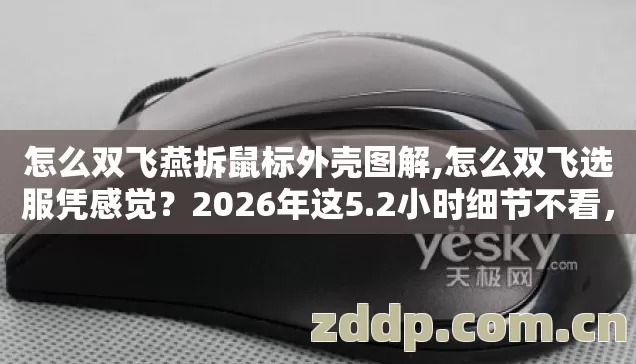 怎么双飞燕拆鼠标外壳图解,怎么双飞选服凭感觉?2026年这5.2小时细节不看,进去就是韭菜? 怎么双飞燕拆鼠标外壳图解,怎么双飞选服凭感觉?2026年这5.2小时细节不看,进去就是韭菜?