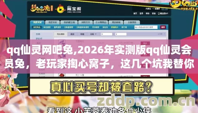 qq仙灵网吧兔,2026年实测版qq仙灵会员兔,老玩家掏心窝子,这几个坑我替你踩过了 qq仙灵网吧兔,2026年实测版qq仙灵会员兔,老玩家掏心窝子,这几个坑我替你踩过了