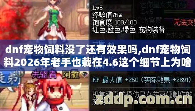dnf宠物饲料没了还有效果吗,dnf宠物饲料2026年老手也栽在4.6这个细节上为啥没人说? dnf宠物饲料没了还有效果吗,dnf宠物饲料2026年老手也栽在4.6这个细节上为啥没人说?