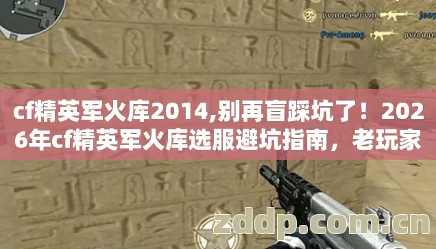 cf精英军火库2014,别再盲踩坑了!2026年cf精英军火库选服避坑指南,老玩家实测防跑路 cf精英军火库2014,别再盲踩坑了!2026年cf精英军火库选服避坑指南,老玩家实测防跑路