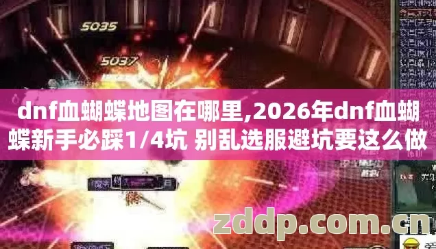 2026年dnf血蝴蝶新手必踩1图片