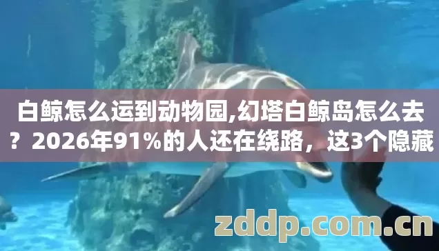 白鲸怎么运到动物园,幻塔白鲸岛怎么去?2026年91%的人还在绕路,这3个隐藏入口才是真捷径 白鲸怎么运到动物园,幻塔白鲸岛怎么去?2026年91%的人还在绕路,这3个隐藏入口才是真捷径